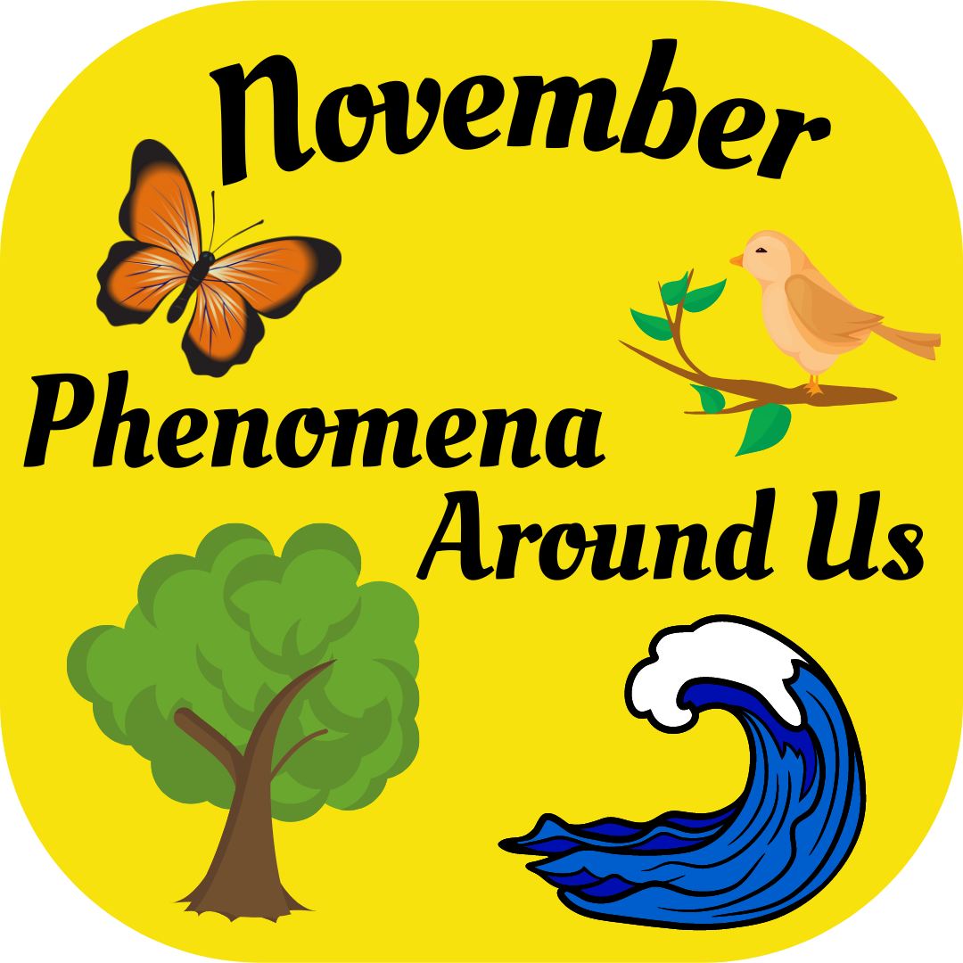 November Challenge 21
