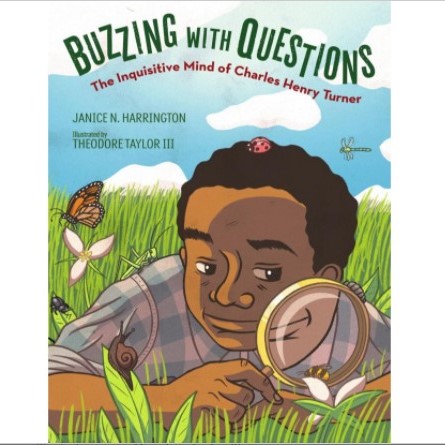 Buzzing with Questions square