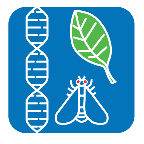 CRS-iconsDNA