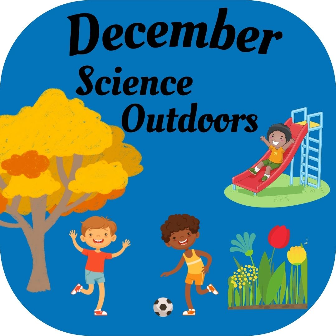 Champions Dec Outdoors