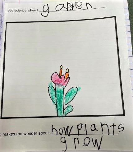 Champions-of-Discovery_Garden-Example