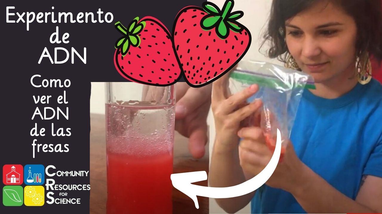 Ciencia in Casa con Erika Video Cover