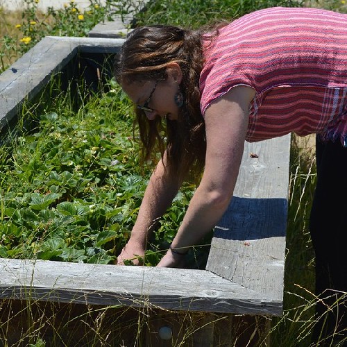 Examining-a-Planting-Box_500x500