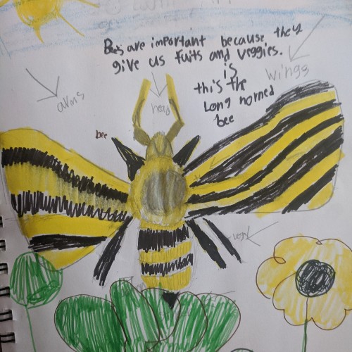 Kid-Art_500x500_29
