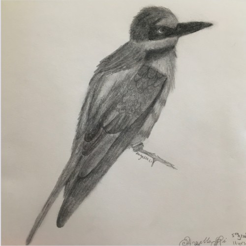 Kid-Art_500x500_5