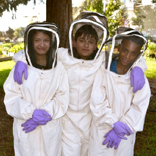 Kids-Bee-Suits_500x500