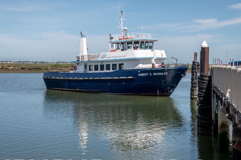 Marine-Sci-Institute_Brownlee