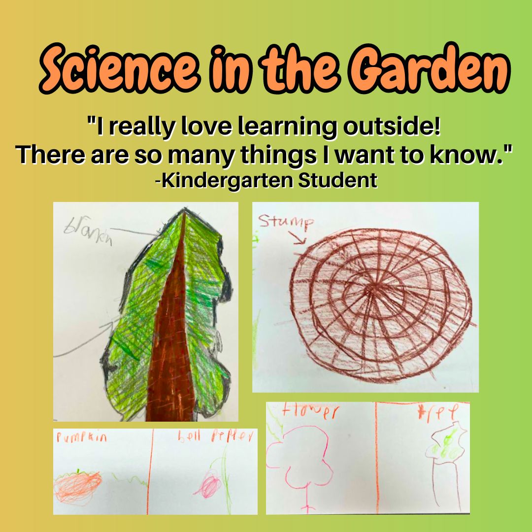 November Joyful Science Moment square