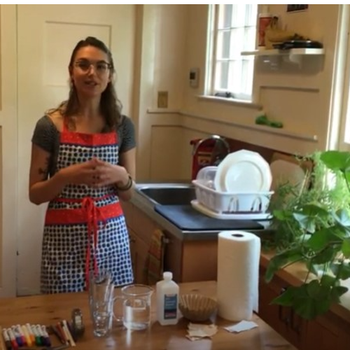 Science-at-Home-Jade_500x500