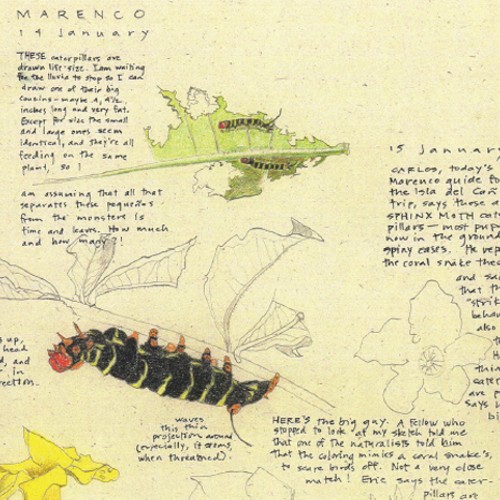 Scientist-Notebook_500x500