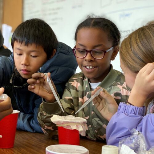 Students Experimenting (2)