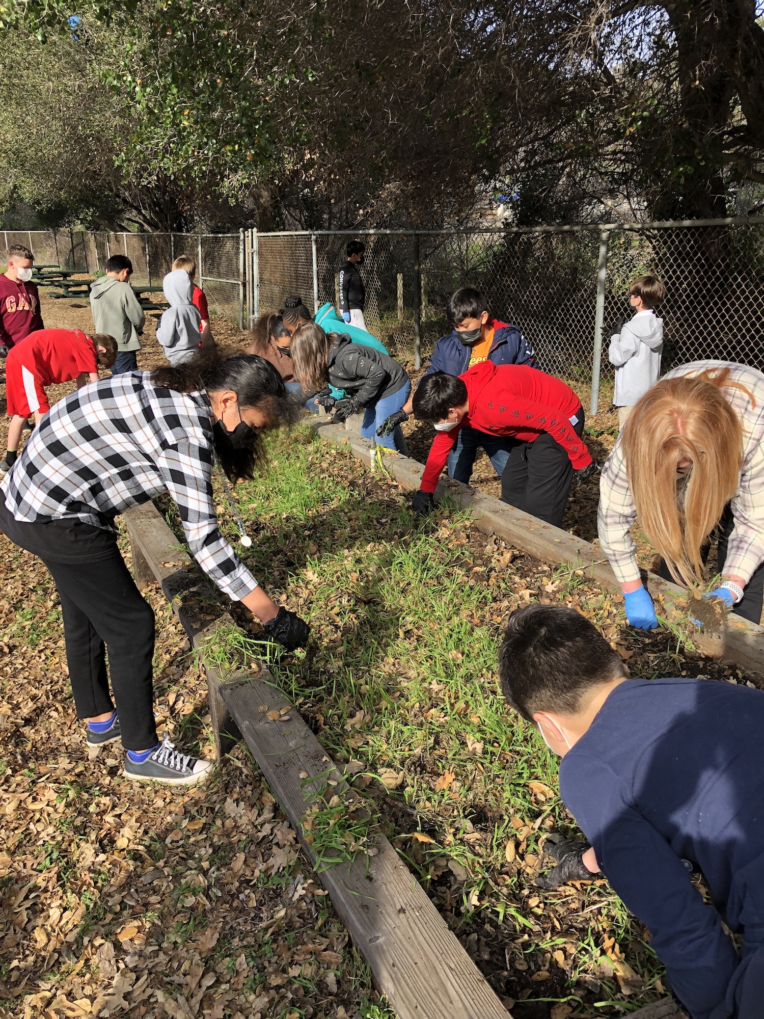 Students-Gardening_Portrait