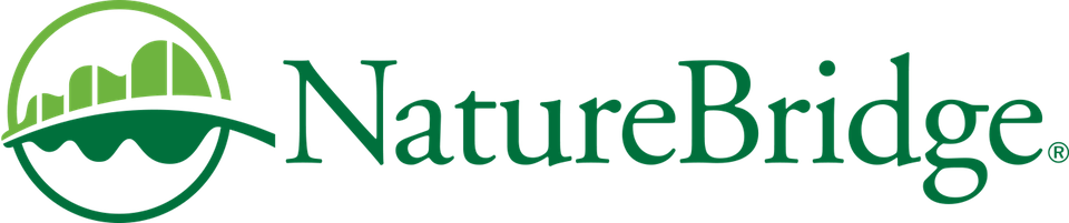 nb logo transparent