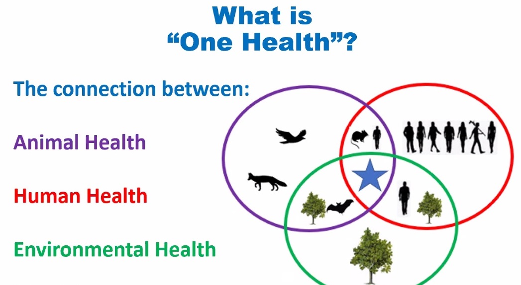 onehealthblog